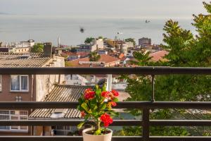 Istanbul Amedros Home