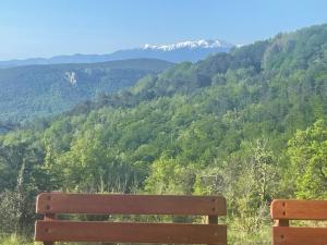 Chalets Tiny House en bois : photos des chambres