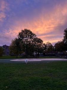 Appartements Les horizons de Jules : photos des chambres