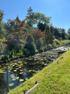 Appartements Les horizons de Jules : photos des chambres