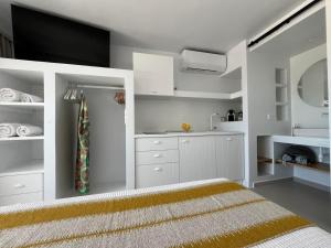 Neso seafront studio Paros