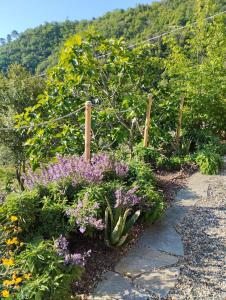 Briciole di Pietra B&B