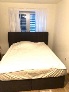 Zurich 2 rooms full lakeview, unique historic house share bath 40 m2