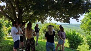 Cà Trifolera Barbaresco - Romantico Cascinale con antica cantina nel cuore delle Langhe - DEGUSTAZIONE VINI NELLA NOSTRA CANTINA