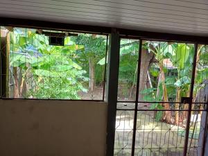 Festival de Parintins