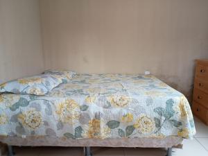 Festival de Parintins