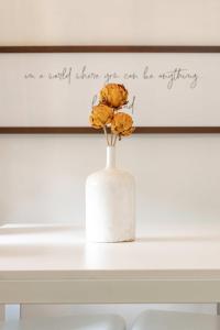 Its Back Historic Flat in Downtown Boise