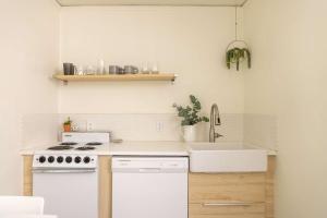 Its Back Historic Flat in Downtown Boise