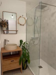 Appartements Appartement 2 pieces a La Teste avec piscine : photos des chambres