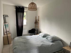 Appartements Appartement 2 pieces a La Teste avec piscine : photos des chambres