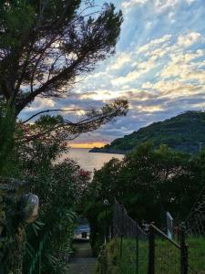 Il Paradiso di Adriana