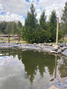 Entre Rocas y Piedras