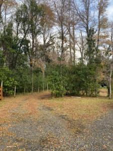 Entre Rocas y Piedras