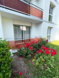 Appartement à 5 min du port