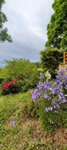 Chalets Cabane de vigneron : photos des chambres