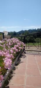 Summer breeze apartment