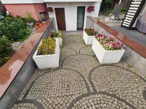 DAR-KAJ MIESZKANIE nr 5