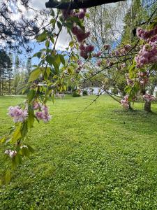 Maisons de vacances Magnifique longere proche Dreux et a 1h de Paris : photos des chambres