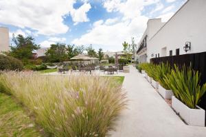 Hermosisima Casa y Depa con 20 amenidades