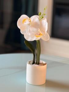 Appartements Meubles de Charme Romantique en Touraine : photos des chambres