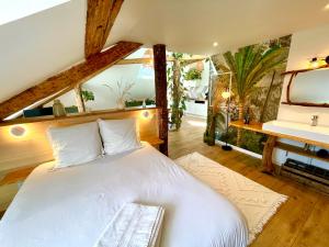Appartements Nid douillet sous les toits avec jacuzzi : photos des chambres