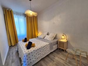 Appartements Carolina, T3 centre historique de Bandol : photos des chambres