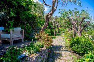 Natale a Capri - Villa con Panorama Mozzafiato