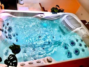 Appartements Nid douillet sous les toits avec jacuzzi : photos des chambres