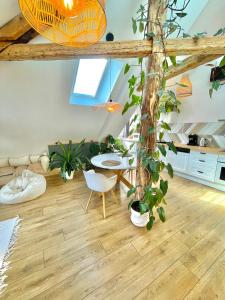 Appartements Nid douillet sous les toits avec jacuzzi : photos des chambres