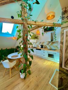Appartements Nid douillet sous les toits avec jacuzzi : photos des chambres