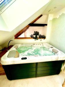 Appartements Nid douillet sous les toits avec jacuzzi : photos des chambres