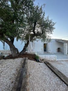 Trullo Alisia - TrulloExperience