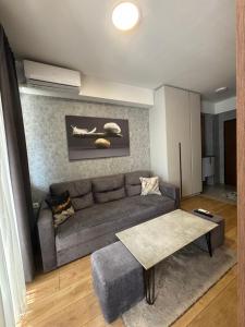 Luxury Apartment Skopje 2