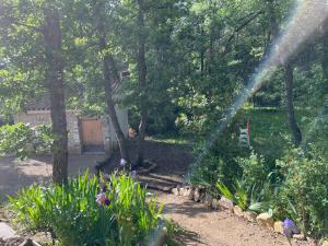 Villas La villa dans les arbres - Triangle d-or du Luberon : photos des chambres