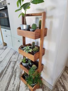 Maisons de vacances O Gris-Nez - a 20m de la plage : photos des chambres