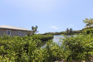 Beyond the Blue Casita