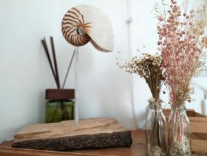 La Maisonette - Centro storico img9