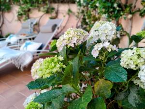 La Maisonette - Centro storico img88