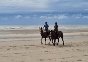 Campings Mobil-home Vue mer Piscine - Camping La Falaise Equihen-Plage - La Coquille d-Opale : photos des chambres