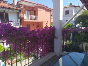 Summer place Pefkohori