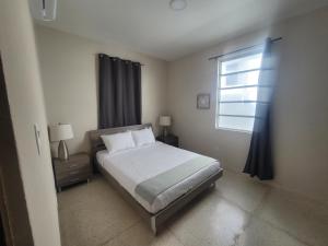 2019 Cacique by Stay with Bear