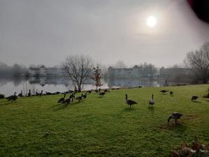 The Lakehouse on Windrush