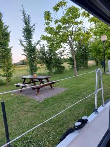 Lévasion - Pairi Daiza - Insolite