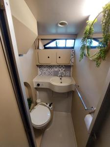 Lévasion - Pairi Daiza - Insolite