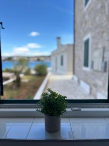 Studio Apartment Krapanj