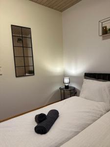 SKI und Alpenpanorama im Wallis, Wandern, WIFI