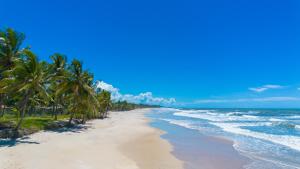Casa completo com grande piscina sob coqueiros, pe na areia