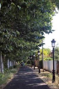 Campings Camping 4 etoiles - Piscine - ccaffbg : photos des chambres