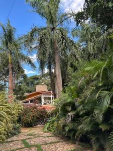 Flor da Serra