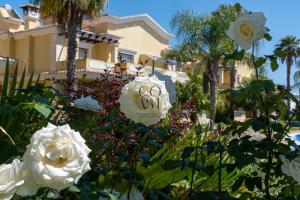 Sunny Escape w Pool & Garden by The Coast Exclusive Rentals